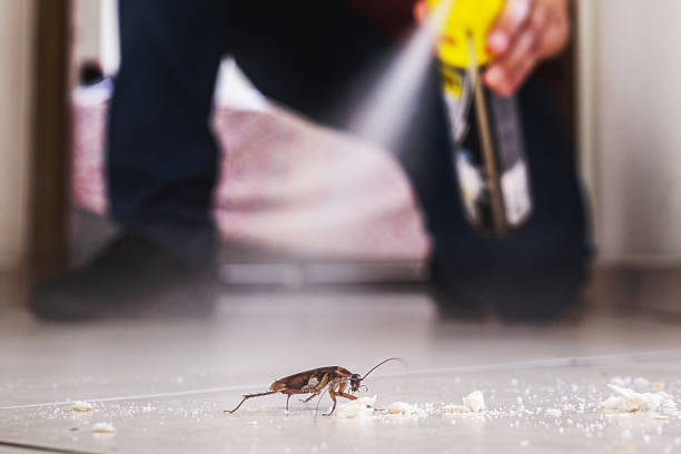 Best Commercial Pest Control Services  in Williamstown, NJ
