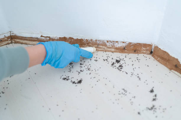 Best Exterminator Services  in Williamstown, NJ