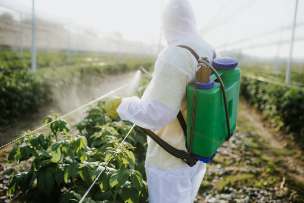 Best Bed Bug Extermination  in Williamstown, NJ